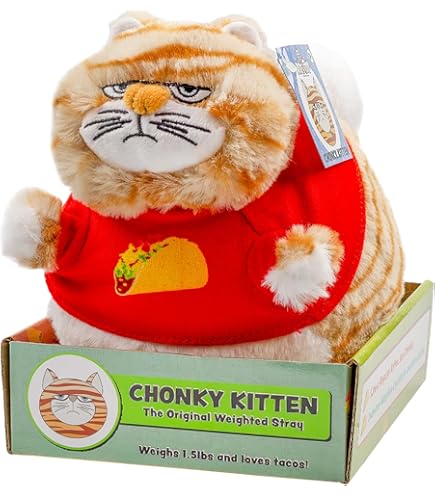 Amazon.com: Ultra Pro Official Grumpy Cat Cozy : Toys & Games